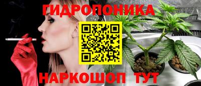 амф Балахна