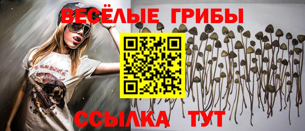 Галлюциногенные грибы ЛСД Иваново