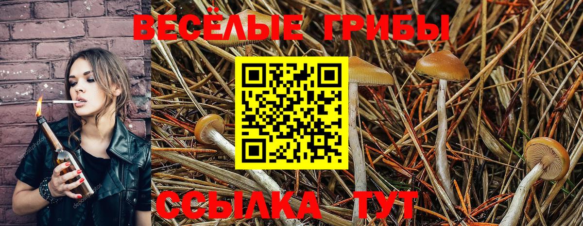 Иваново  Галлюциногенные грибы Magic Shrooms  Вход с VPN 